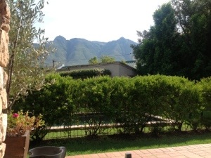 20130326-103716.jpg